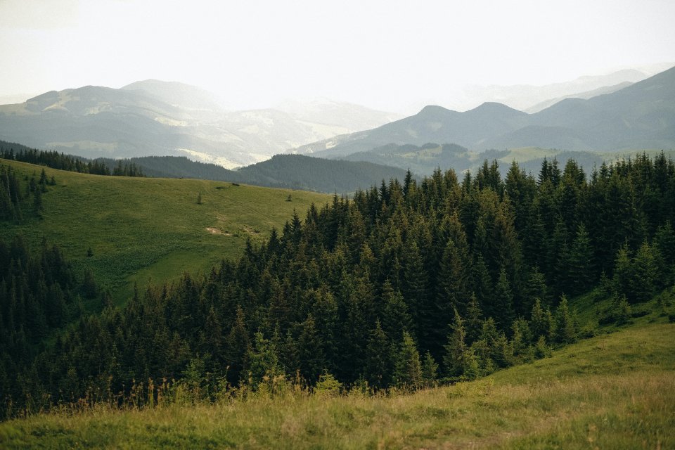 Un beau paysage de montagnes