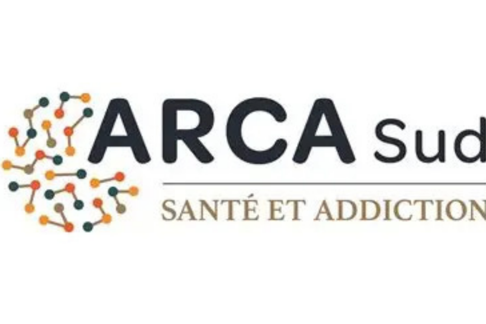 logo arca sud