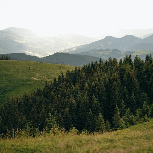 Un beau paysage de montagnes